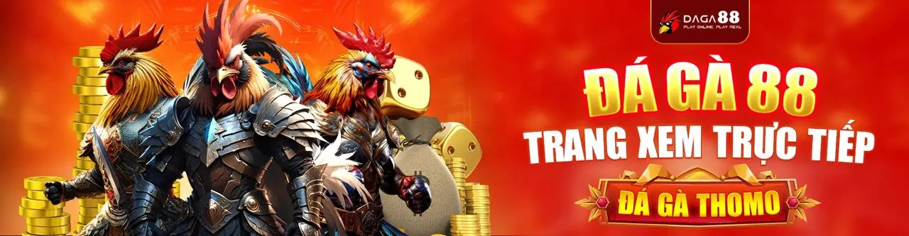 Đấu gà trực tuyến kịch tính tại vm88 win